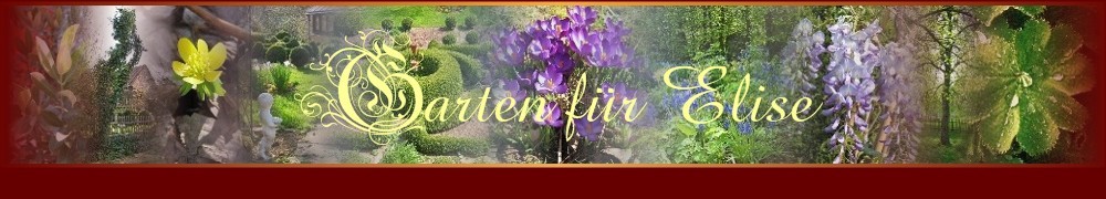 a_Leiste_Fr�hling0202020202