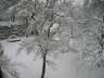 11.